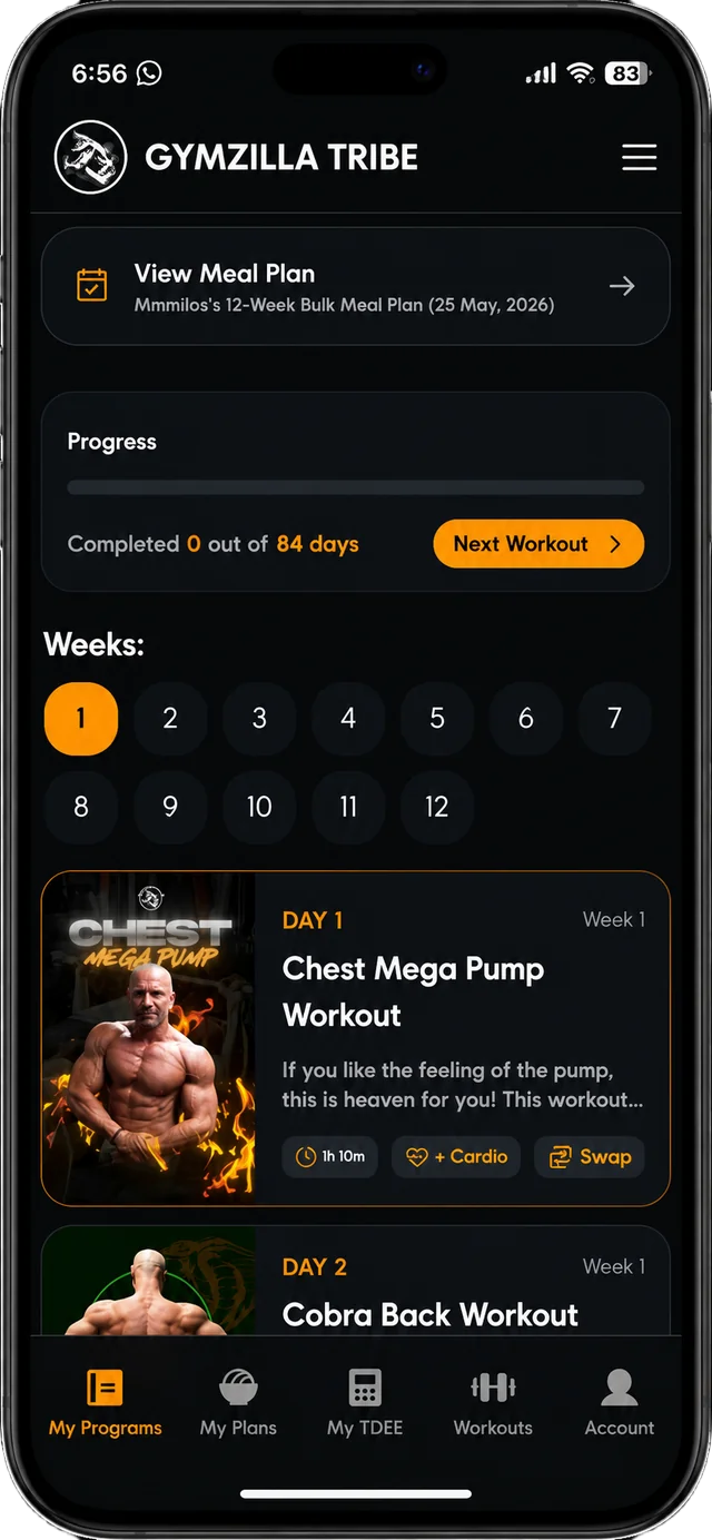 GymZilla pregled programa 1